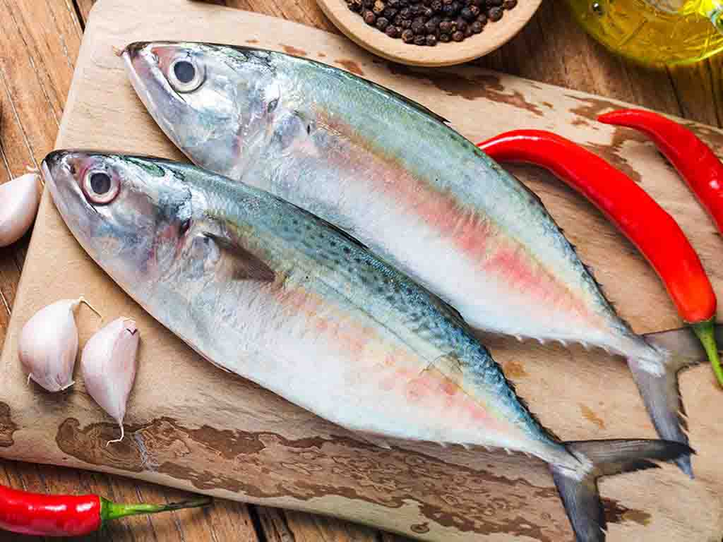 Online Fish Order fresh fish online at Best Price meatup