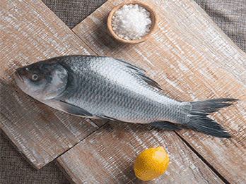 Catla fish