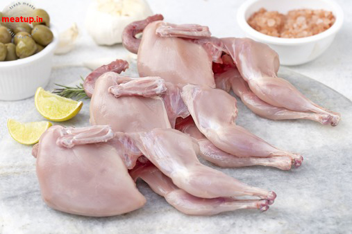 Exotic Quails / Kaada (6pcs)